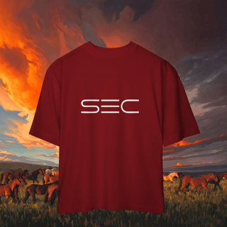 Nome do produto Independence - Camiseta Oversized