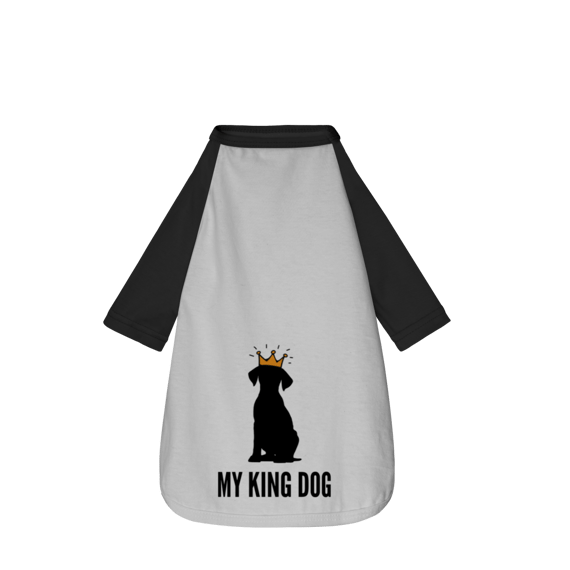 Roupa Pet