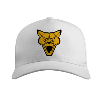 Nome do produto BONÉ AMERICANO PUMA C/ TELA