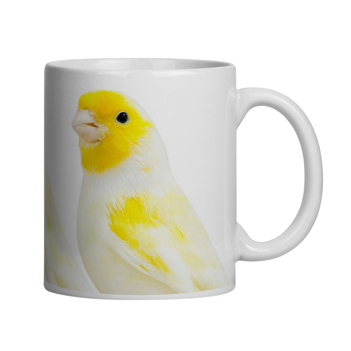 Nome do produto: AMARELO MOSAICO MACHO