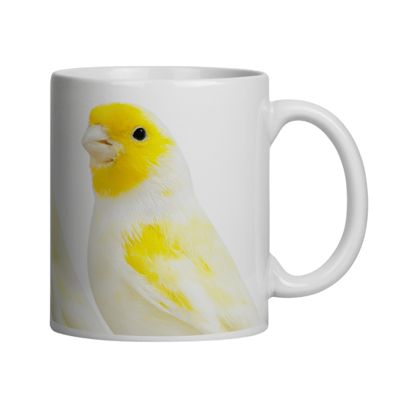 AMARELO MOSAICO MACHO