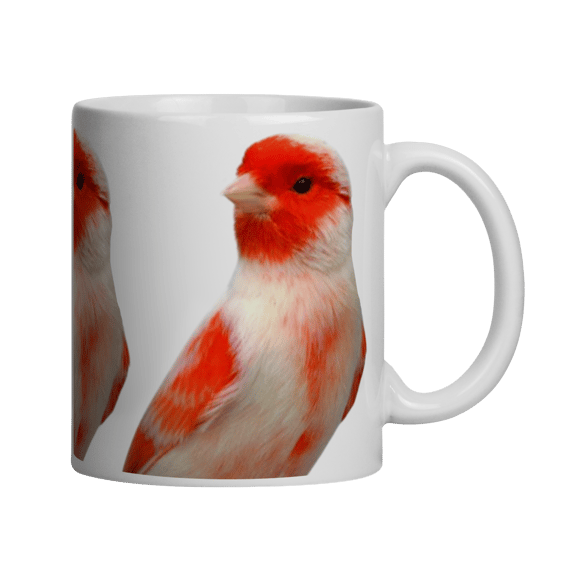 VERMELHO MOSAICO MACHO