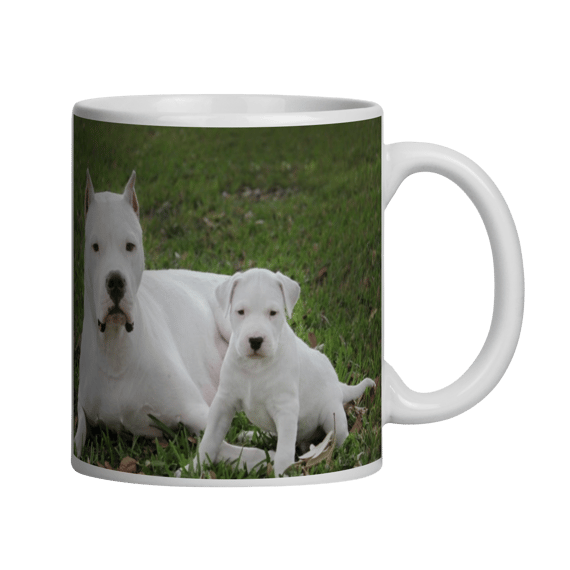 DOGO ARGENTINO