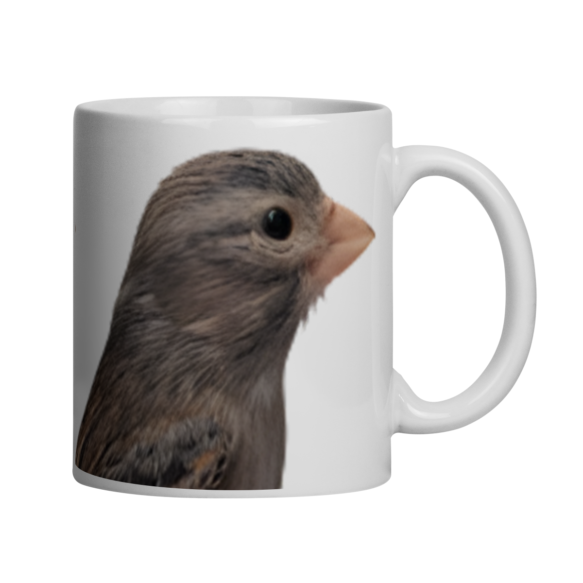 Nome do produto: RAÇA ESPANHOLA