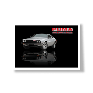 POSTER PUMA GTB S2