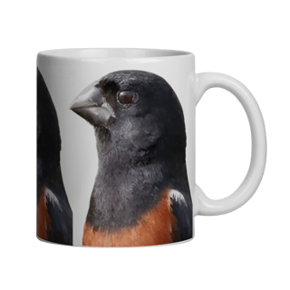 Nome do produto CANECA CURIÓ