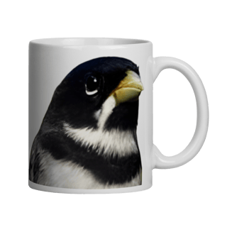 Nome do produto CANECA COLEIRO