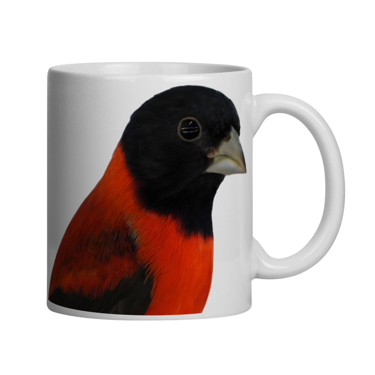 CANECA TARIM