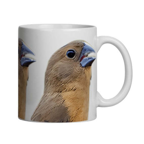 CANECA CURIÓ PARDO