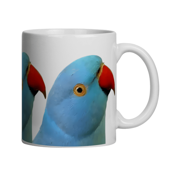 CANECA RINGNECK
