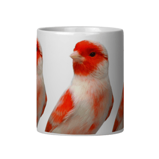 Nome do produto VERMELHO MOSAICO MACHO