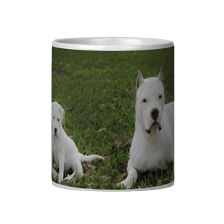 Nome do produto DOGO ARGENTINO