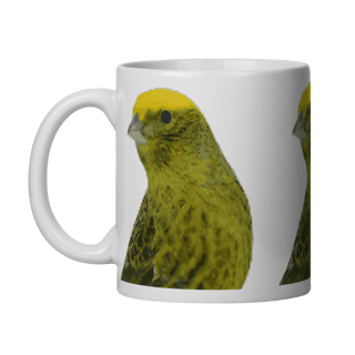 Nome do produto LIZARD