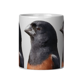 Nome do produto CANECA CURIÓ