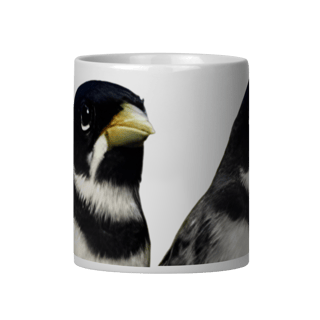 Nome do produto CANECA COLEIRO