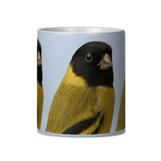 Nome do produto CANECA PINTASSILGO