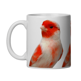 Nome do produto VERMELHO MOSAICO MACHO