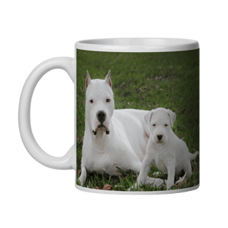 Nome do produto DOGO ARGENTINO