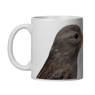 Nome do produto RAÇA ESPANHOLA