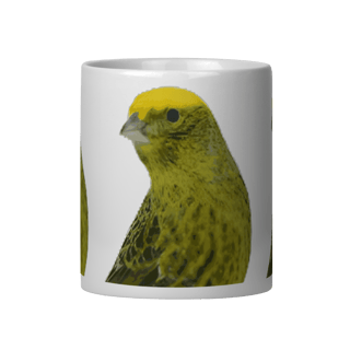 Nome do produto LIZARD