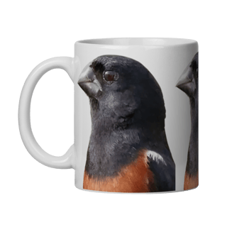 Nome do produto CANECA CURIÓ