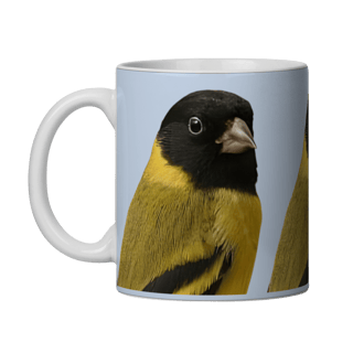 Nome do produto CANECA PINTASSILGO