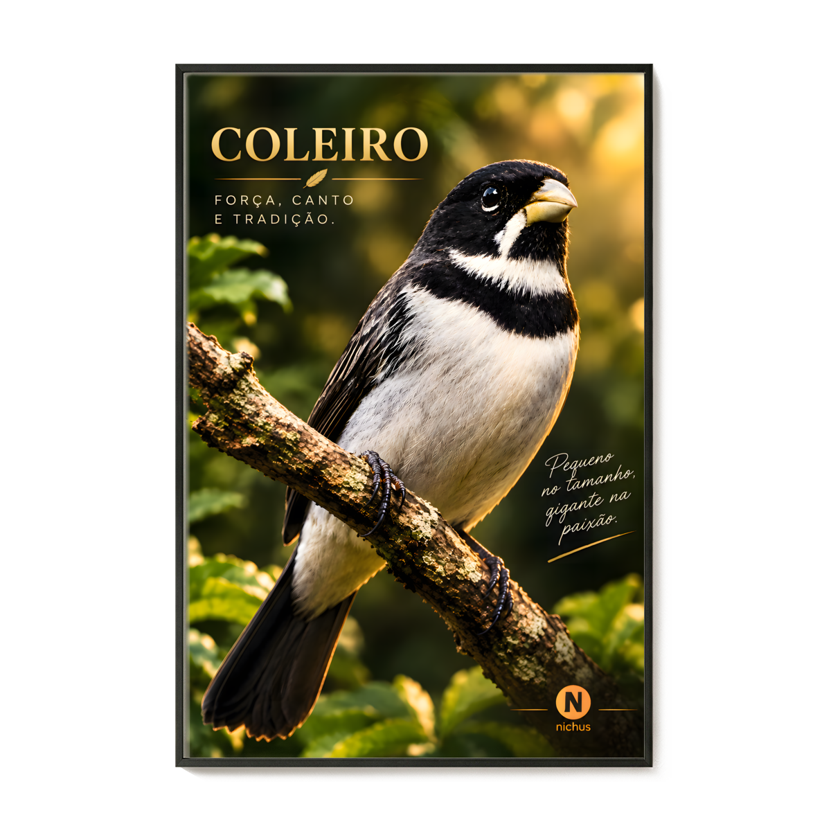 Nome do produto: QUADRO COLEIRO - MOLDURA COM VIDRO