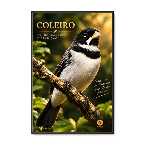 QUADRO COLEIRO - MOLDURA COM VIDRO