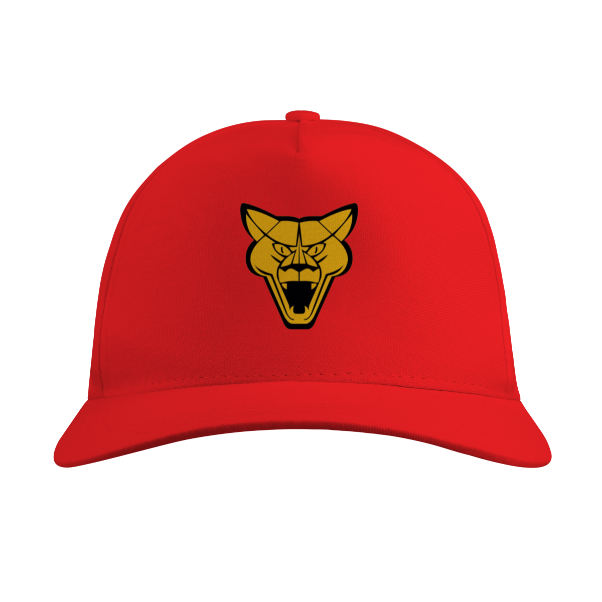 Boné Quality Puma