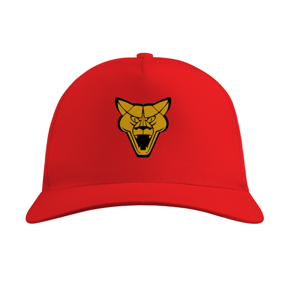 Boné Quality Puma