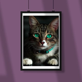 Nome do produto Poster gato olhos azuis
