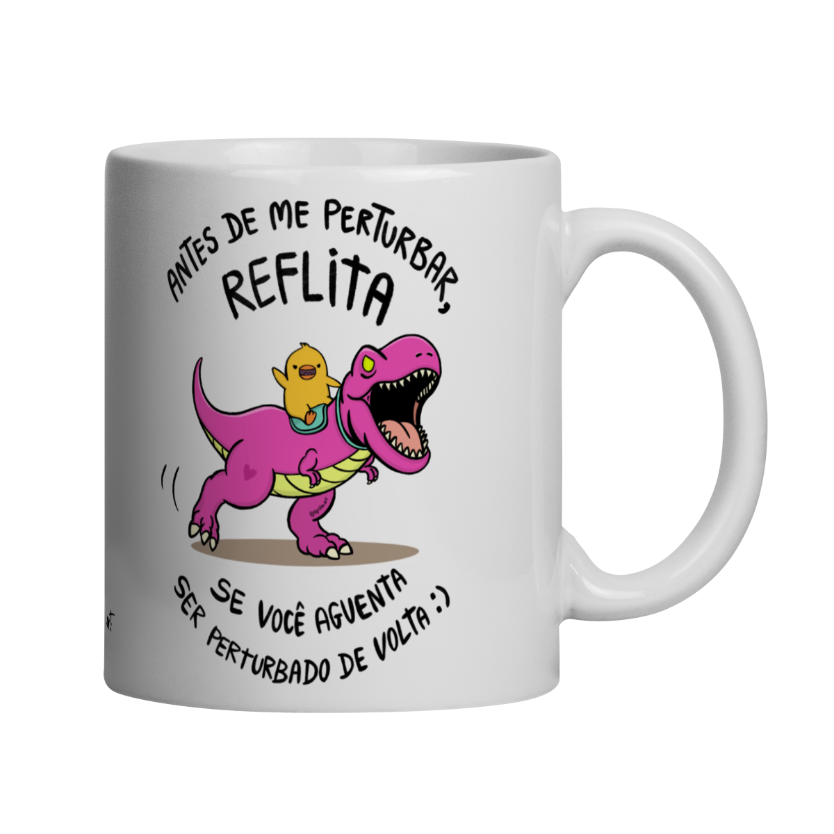 Caneca Antes de Perturbar Reflita