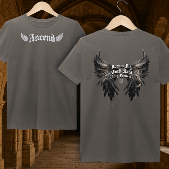 Camiseta Estonada Dream Big, Work Hard, Stay Focuced