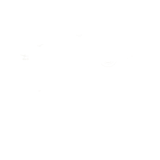 Nome do produto Camiseta Delorean