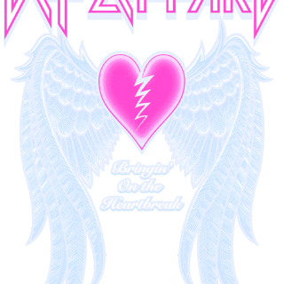 Nome do produto Camiseta Preta Def Leppard!