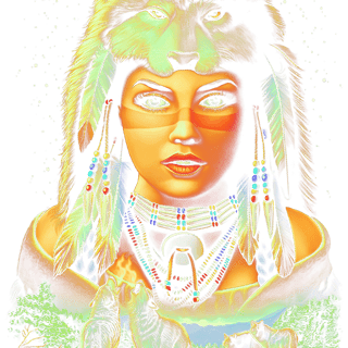 Nome do produto Camiseta Índia Xamã com Lobo Estampa Mística Algodão Premium