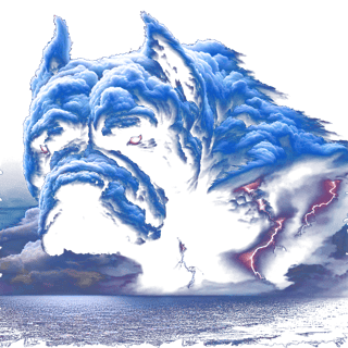 Nome do produto Camiseta Pitbull Tempestade de Raios Estampa Surrealista Algodão