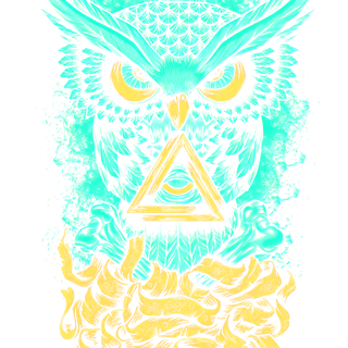 Nome do produto Camiseta Preta Coruja Mística Geométrica Unissex em Algodão Premium