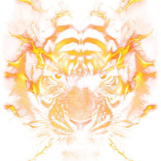 Nome do produto Camiseta Tigre em Chamas - Estampa Artística Neon