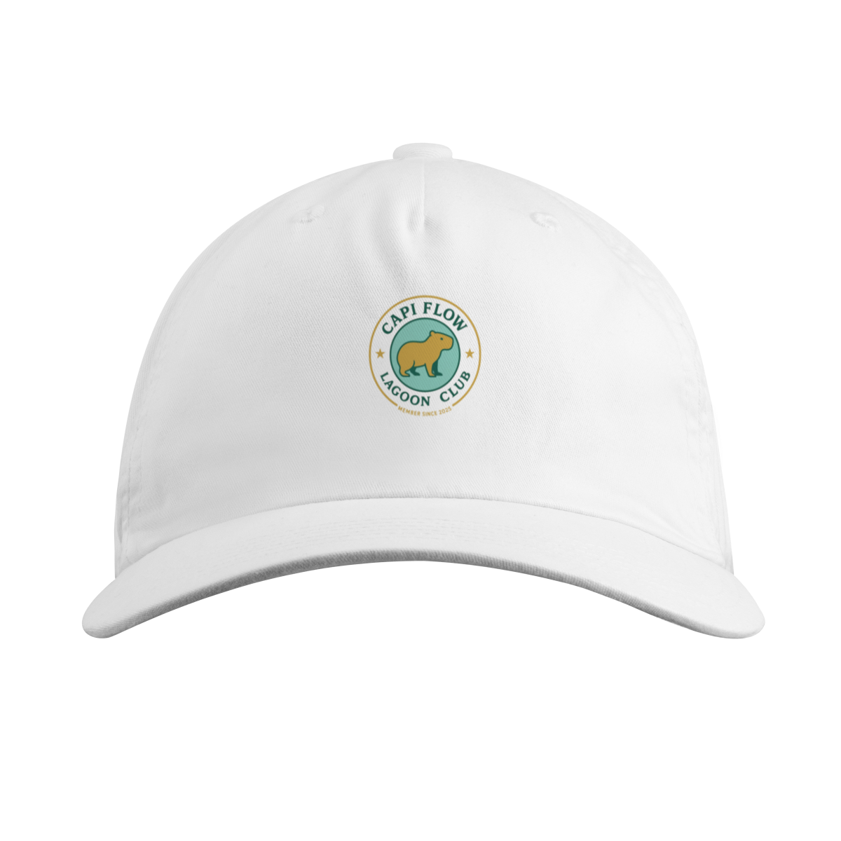 Nome do produto: CapiFlow Club