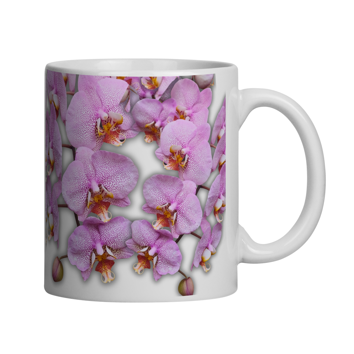 Caneca Phalaenopsis