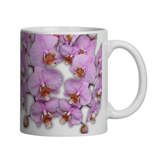 Caneca Phalaenopsis