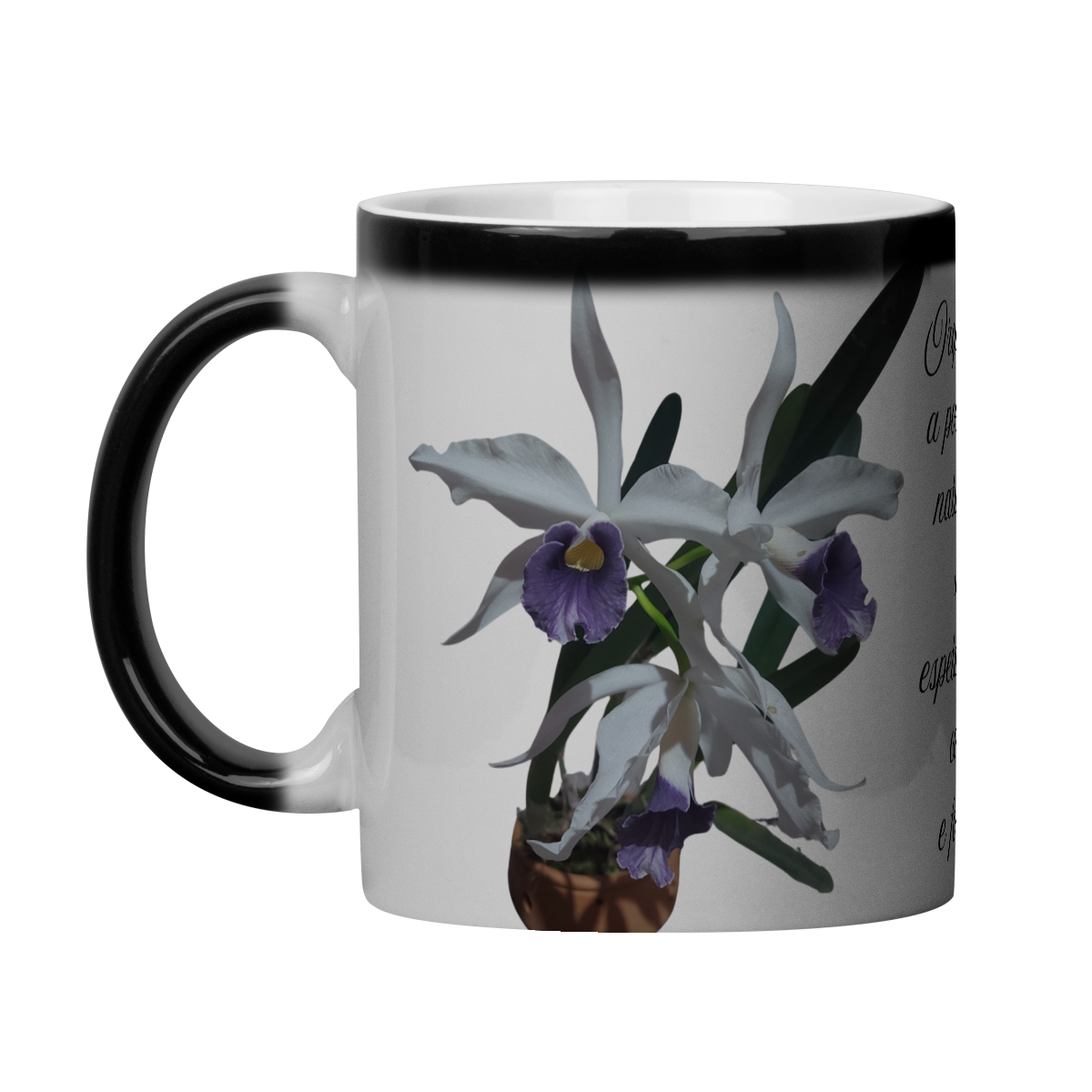 Caneca Mágica Orquidea Coerulea