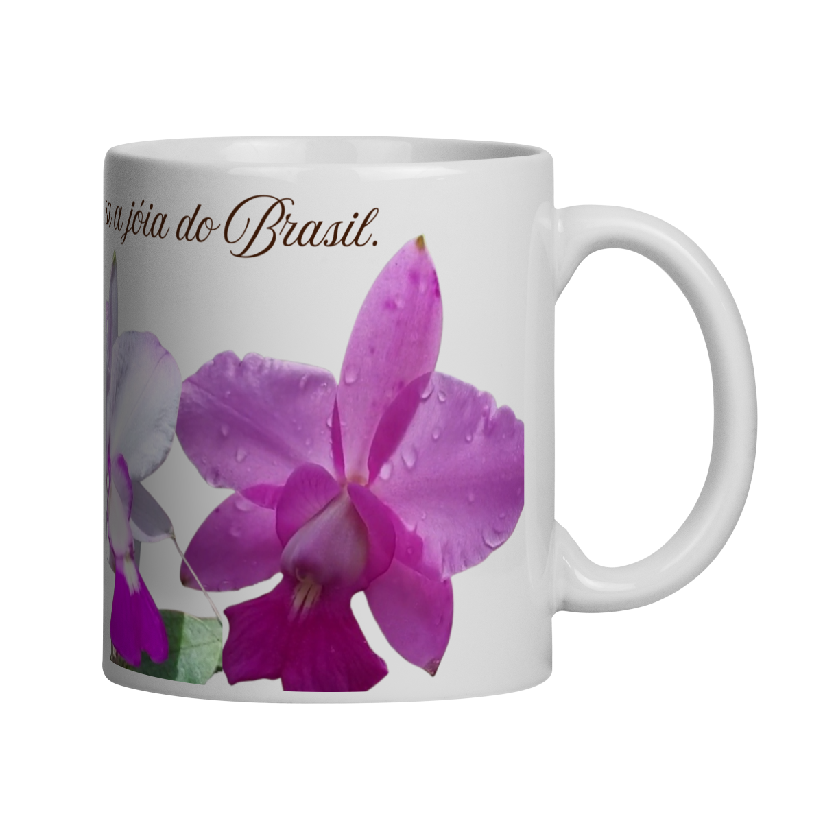 Caneca C.Walkeriana