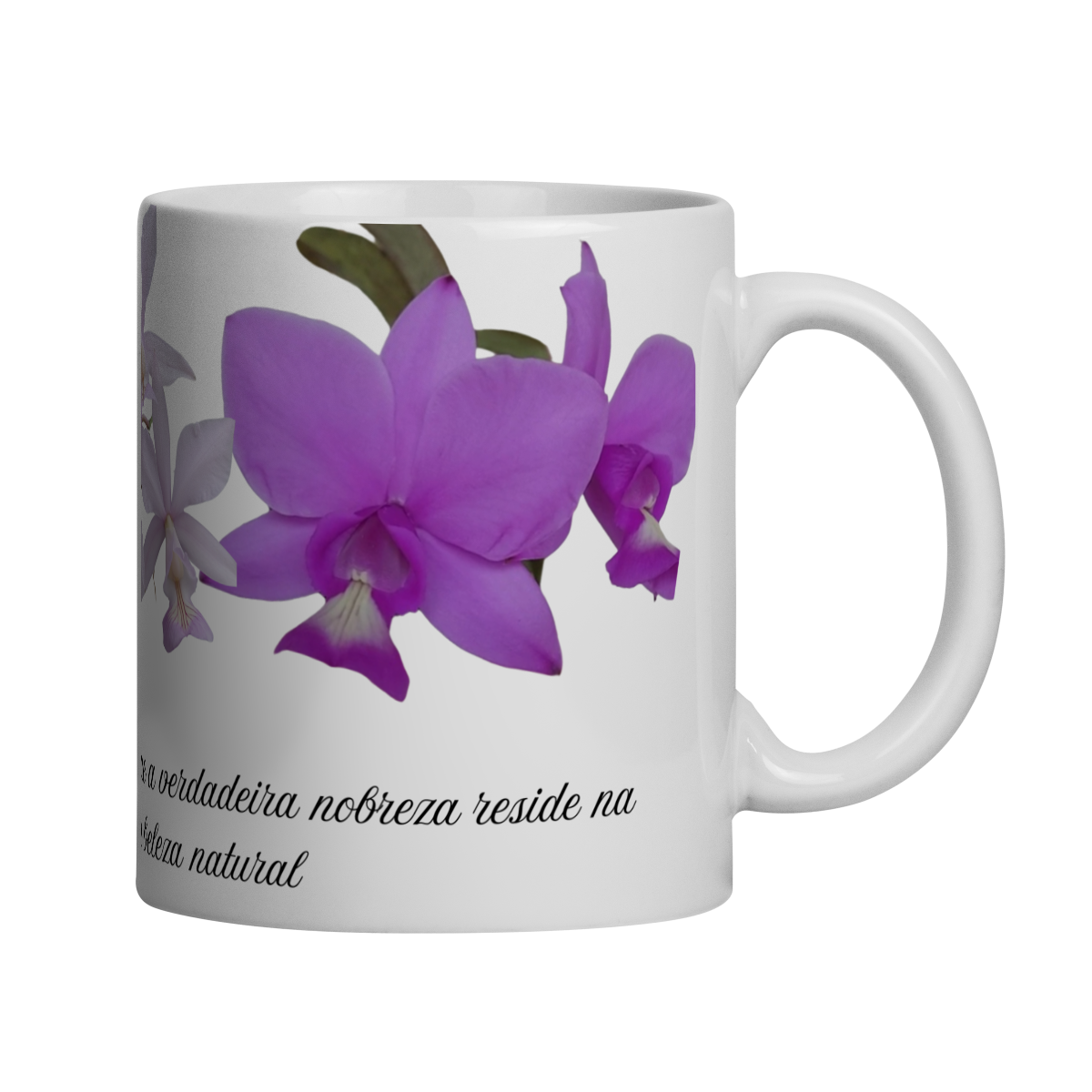 Nome do produto: Caneca C.Nobilior