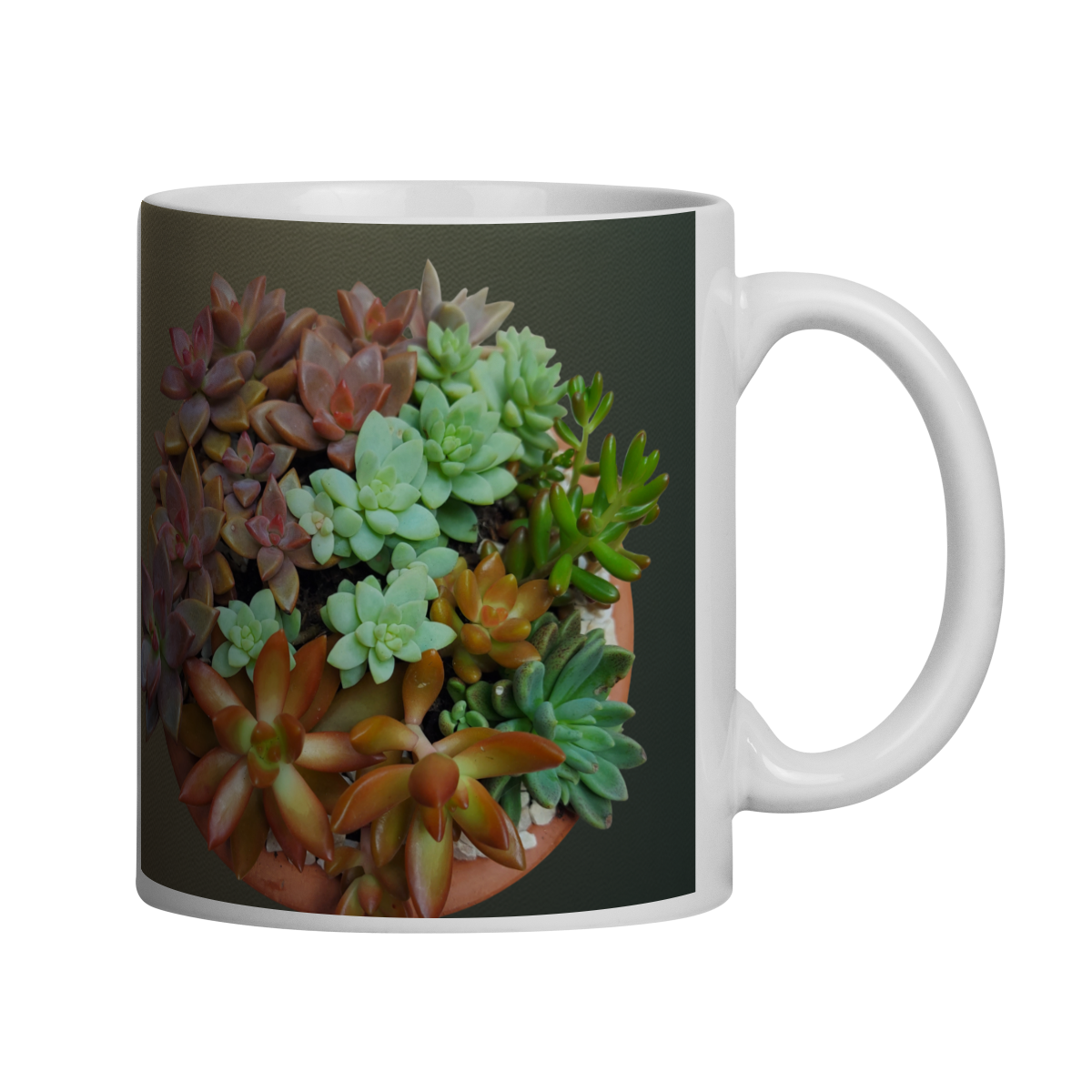 Nome do produto: Caneca Suculentas