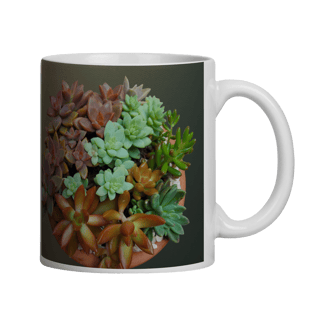 Caneca Suculentas