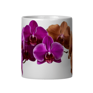 Nome do produto Caneca Phalaenopis 1211
