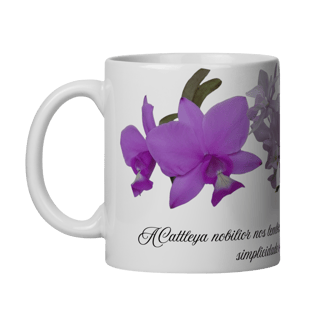 Nome do produto Caneca C.Nobilior