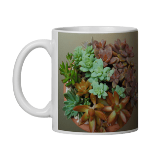 Nome do produto Caneca Suculentas